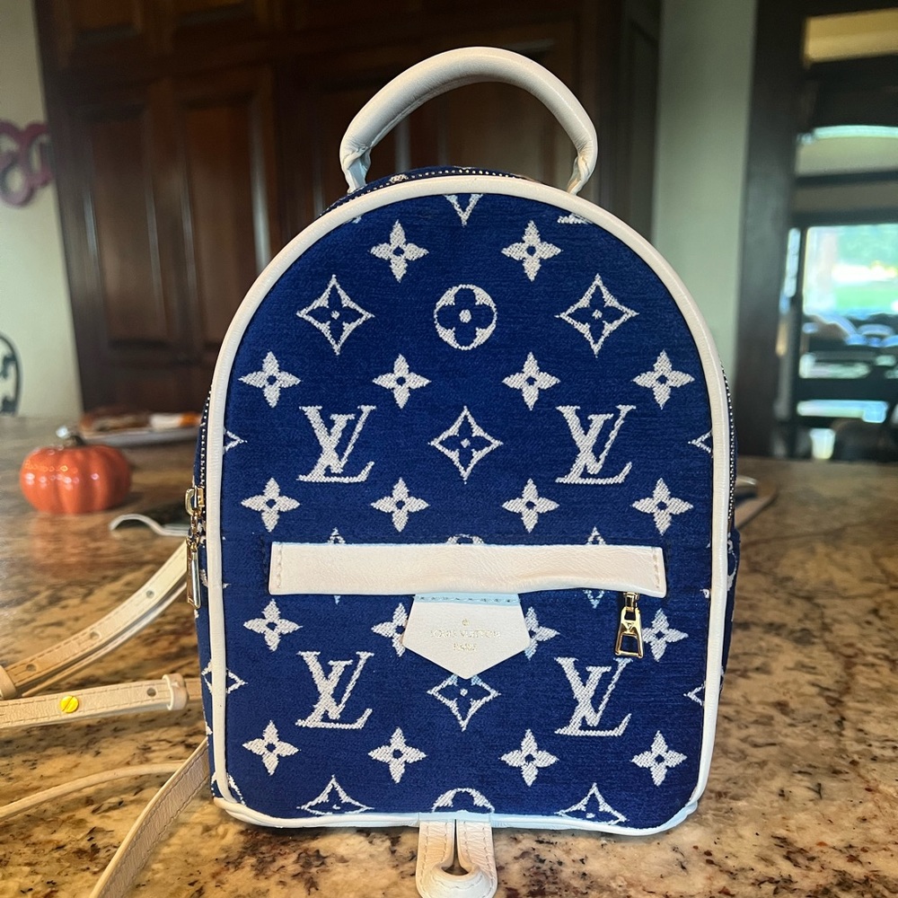 Louis Vuitton backpack